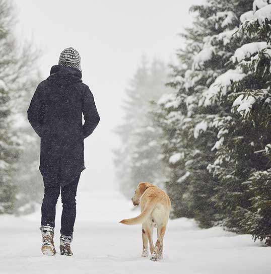 walking along, symbolizing supportive grief and pet loss counselling, offered in Victoria, BC