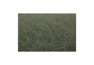 Close-up muted grass textures with softly tangled organic strands and restrained green tones in low-contrast natural light (grief counselling Victoria BC)